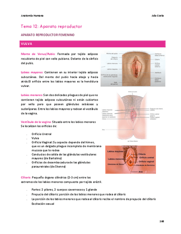 Tema-12.pdf