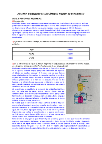 PRACTICA-1-PRINCIPIO-DE-ARQUIMEDES.pdf