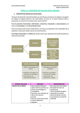 TEMA-16.pdf