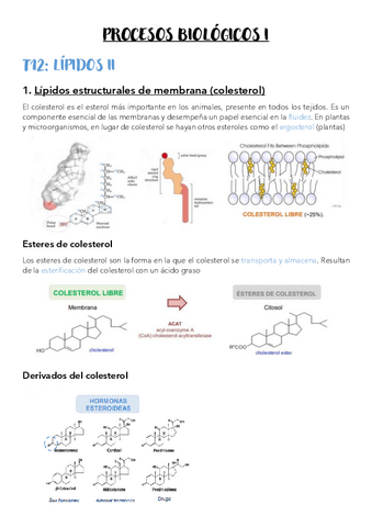 T12-Lipidos-II.pdf