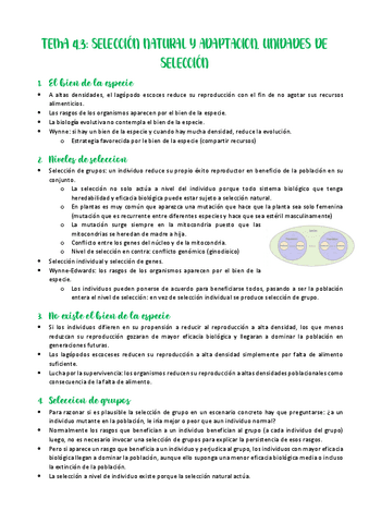Tema-4.pdf