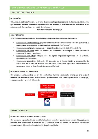 TEMA-6.pdf