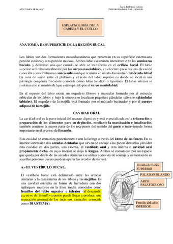 BLOQUE-2-CABEZA-Y-CUELLOPRIMERA-PARTE.pdf
