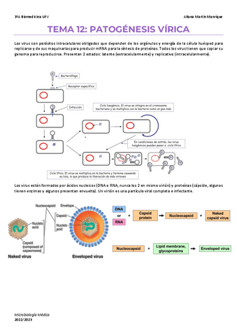 Tema-12-patogenesis-virica.pdf