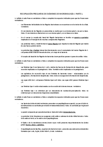 RecopilacionPreguntas.pdf