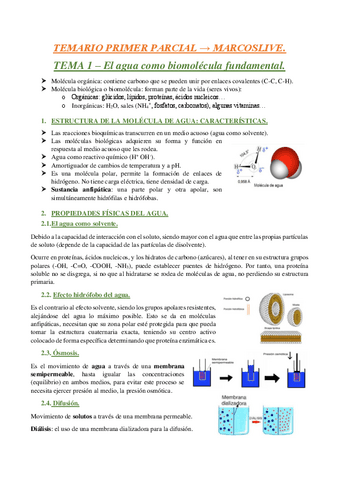 Temario-primer-parcial.pdf