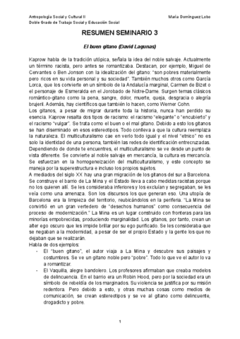 RESUMEN-SEMINARIO-3.pdf