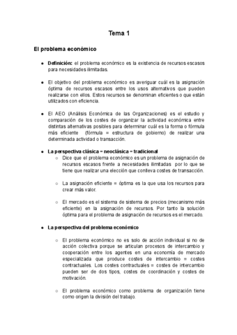 Apuntes-AEO-2022.pdf