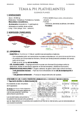 Tema-6-Ph-Plathelmintes.pdf