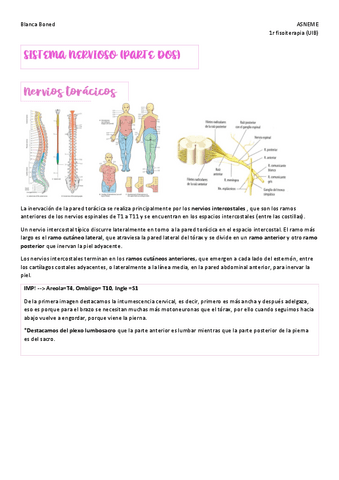 Sistema-nervioso-parte-2-ASNEME.pdf