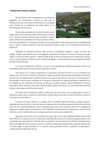 COMENTARIO-PAISAJE-AGRARIO.pdf