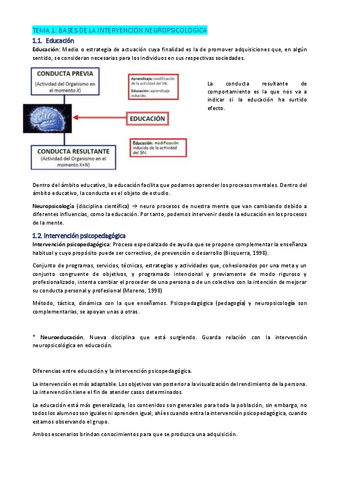 Apuntes-intervencion-neuropsicologica.pdf