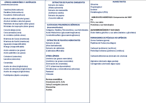 Esquema-Cosmeticos-Hidratantes-.pdf