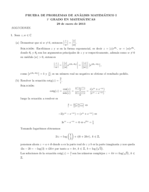 29_01_2013Soluciones final.pdf