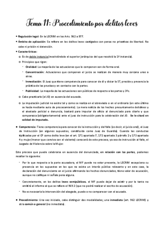 Tema-11-DPP.pdf