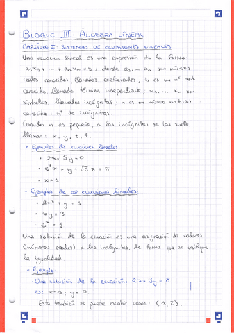 Capitulo-III-Algebra-Lineal.pdf