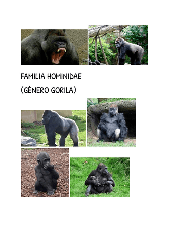 Documento-sin-titulo-1.pdf