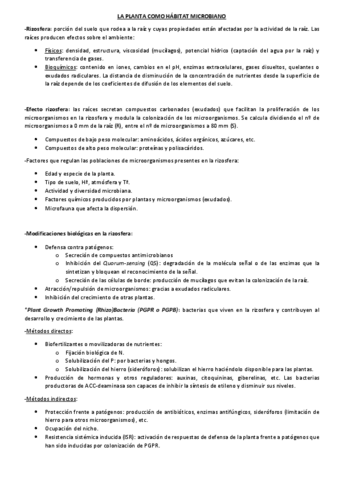 Resumen-Tema-9.pdf