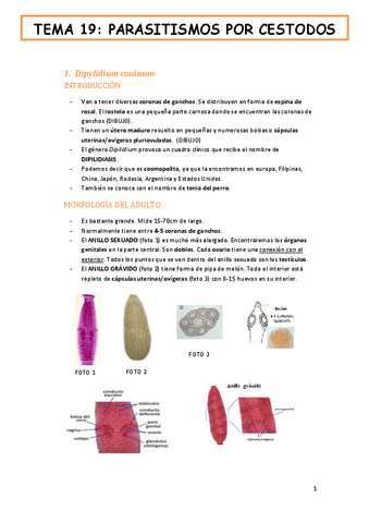 tema-19-fauna-y-salud-PARASITISMOS-POR-CESTODOS.pdf