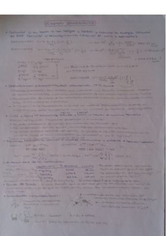 Examen resuelto japo y calvino (no aseguro que este bien).pdf