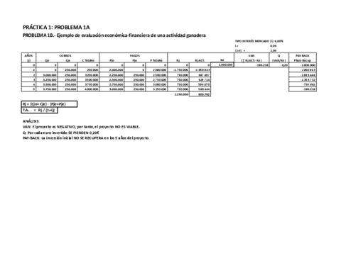 EXAMEN-PRACTICO-EMPRESA-21-22-ENERO-PROBLEMA-1B-RESOLUCION.xls-Alternativa-1.pdf