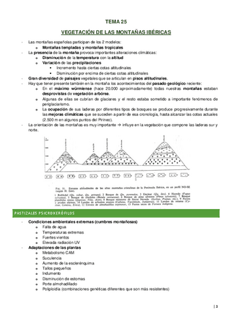 Tema-25.pdf