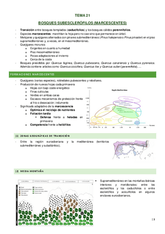 Tema-21.pdf