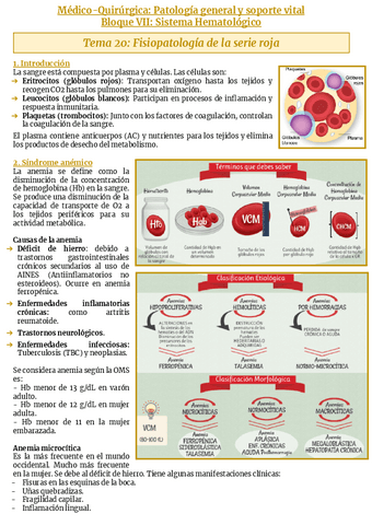 Bloque-VII-Sistema-hematologico