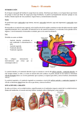 tema-6-El-corazon.pdf