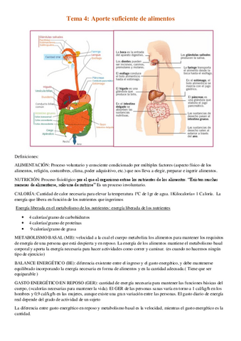 tema-4-Aporte-suficiente-de-alimentos.pdf