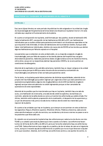 DIARIO-DE-CAMPO.pdf