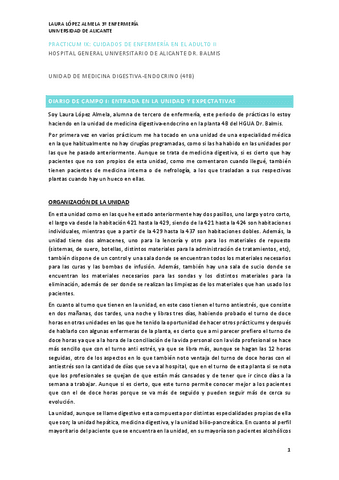 DIARIO-PRACTICUM-IX.pdf