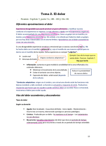 T2-El-dolor-II.pdf