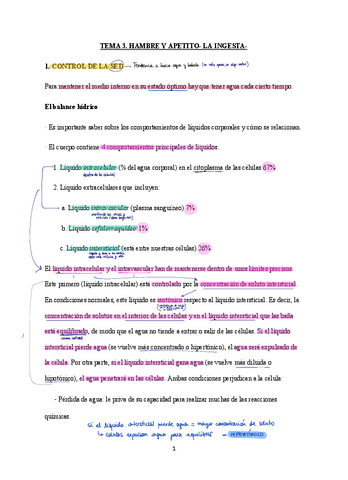 T3-Ingesta-y-hambre.pdf