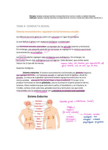 T4-Conducta-sexual-.pdf