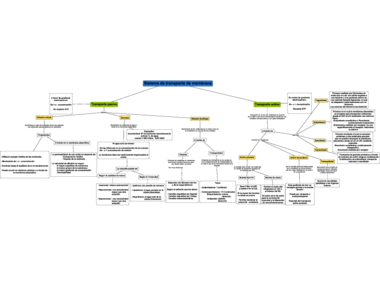 Transporte de membrana (Esquema).pdf