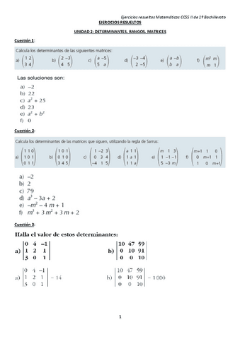 hoja1ejerciciosresueltosunidad2determinantesrangosmatrices.pdf