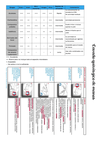 seminarios.pdf