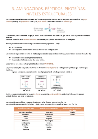 Aminoácidos.pdf