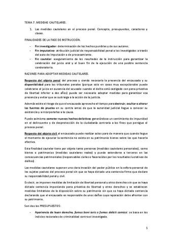 TEMA-7.pdf