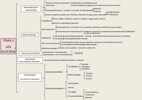 TEMA-2-Glucidos.pdf