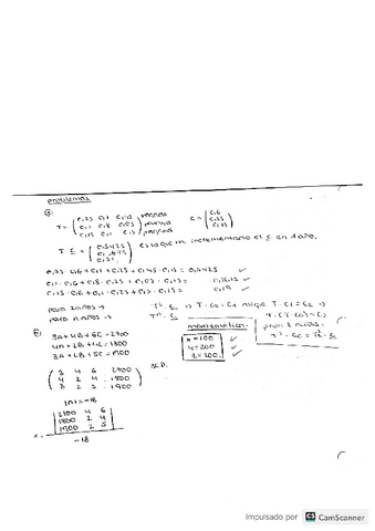 Problemas-Tema-1.pdf