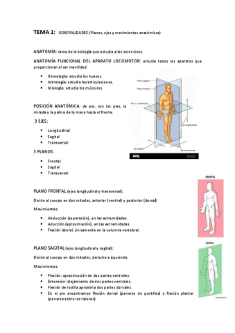 Anatomia.pdf