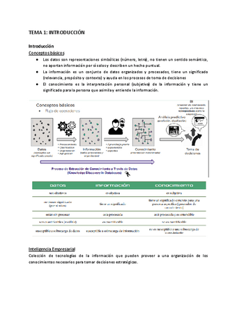 Mineria-de-datos.pdf