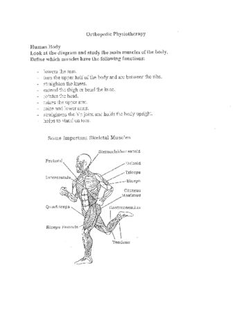 The-human-bodyorthopedic-physiotherapy.pdf
