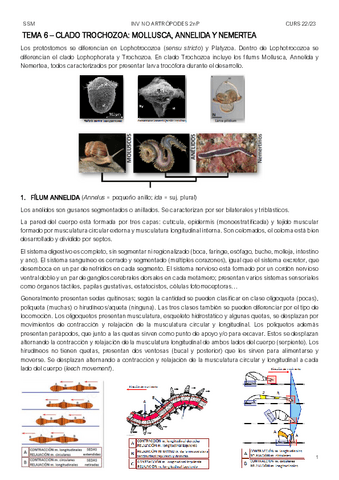 APUNTS-2n-PARCIAL-INA.pdf