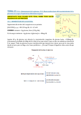 TEMA 25-REGULACIÓN DEL METABOLISMO DE GLN Y GLUCEMIA.pdf