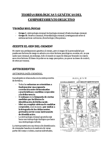 TEMA-4.pdf