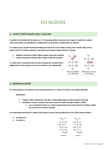 U2-els-glucids.pdf