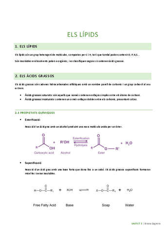 U3-els-lipids.pdf